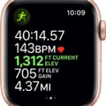 Apple Watch Series 5 Gold Aluminum Health Check