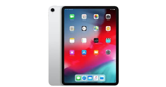 Apple iPad Pro (3rd Generation 11") Display or Screen Properties